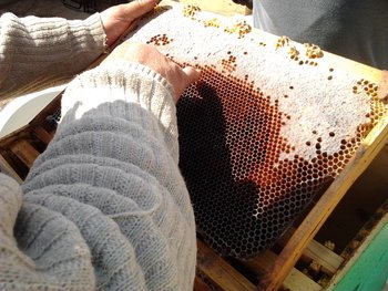 2013-04-11 13.22.23.jpg