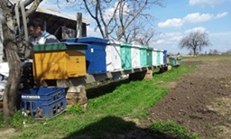 20130411_150939.jpg