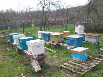2013-04-16 14.42.46.jpg
