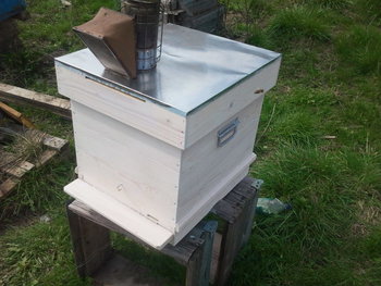 2013-04-16 14.42.55.jpg