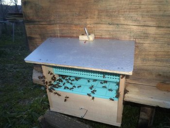 DSC03111 (Medium).JPG