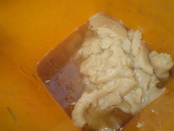 DSC03125 (Medium).JPG