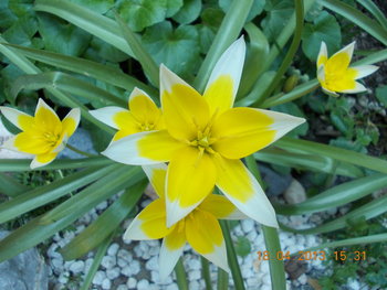 rsz_2picture_002.jpg