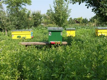 DSCF1286 (Small).JPG
