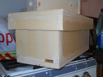 DSCN8771 (Large).JPG