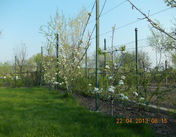 rsz_2picture_031(1).jpg