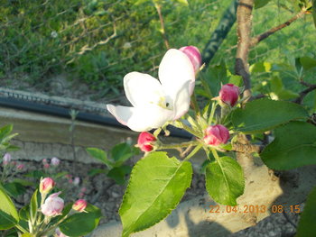 rsz_picture_032.jpg
