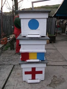 DSCF2041 (Small).JPG