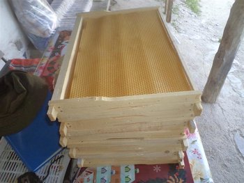 DSC03159 (Medium).JPG
