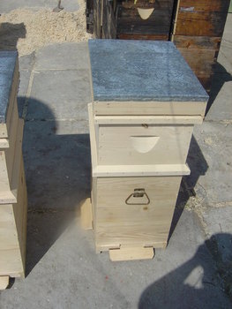 rsz_1dsc03720.jpg