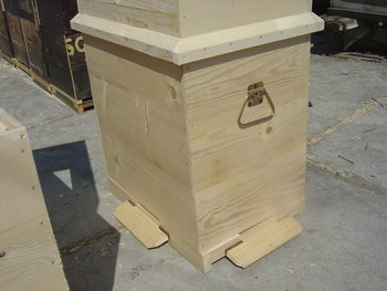 rsz_dsc03725.jpg
