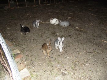 DSCF1283.JPG
