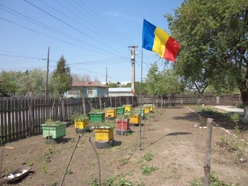 DSC06927 (Small).JPG