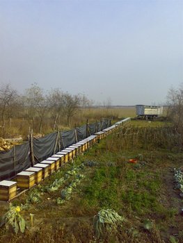 16112008093(1).jpg