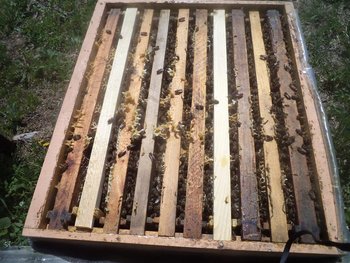DSC03178 (Medium).JPG