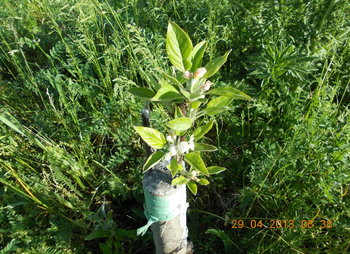 rsz_3dscn0922.jpg
