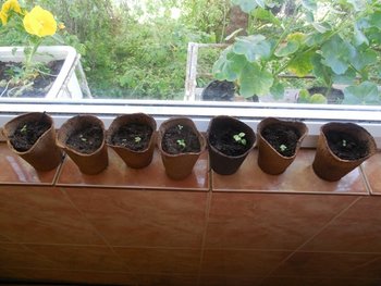 DSCN3209.JPG