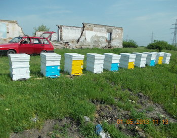 rsz_2picture_049.jpg