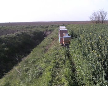 IMG00088.jpg