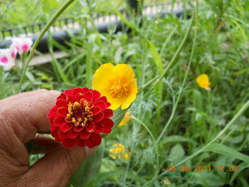 rsz_dscn0898.jpg