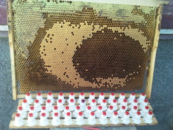 2013-04-30 10.59.57.jpg