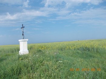 FOTO COMEAT2 013.JPG