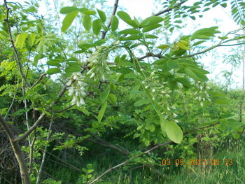 rsz_1dscn0991.jpg