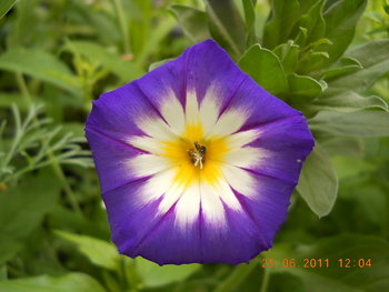 rsz_dscn0903.jpg