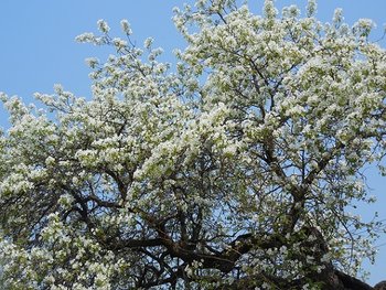 DSCN1559.jpg