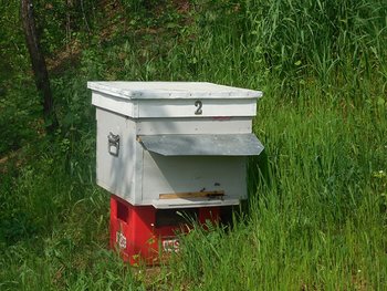 DSCN1777.jpg