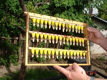 DSC03826 - Copy.JPG