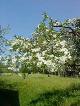 DSC00686_resize.JPG