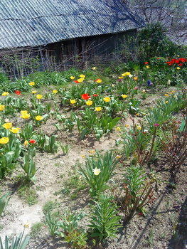 DSC00675_resize.JPG