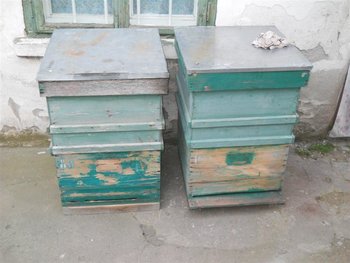 DSCN8818 (Large).JPG