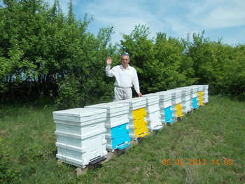 rsz_1picture_005.jpg