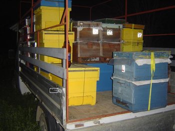 DSC00004 (Small).JPG