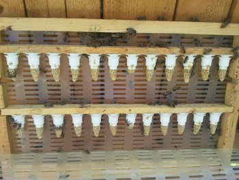 IMG_201305070116.jpg