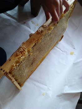 IMG_20130508_120423.jpg