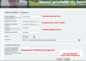 inregistrare2.jpg