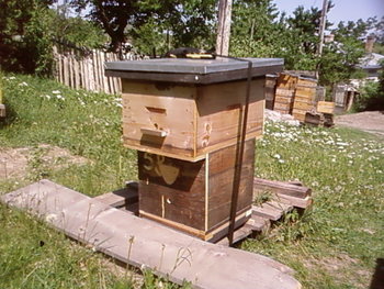 SP_A2215.jpg