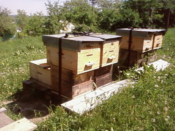 SP_A2214.jpg