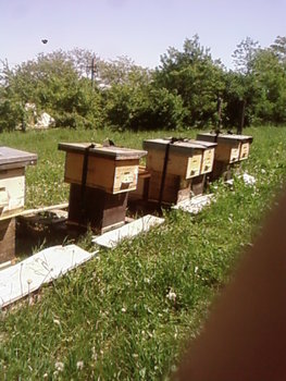 SP_A2210.jpg