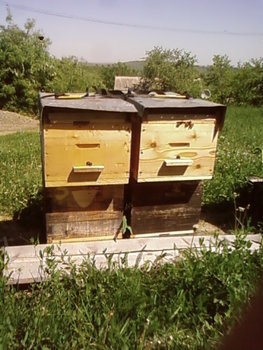 SP_A2211.jpg