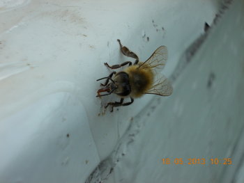 rsz_picture_008.jpg