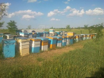 IMG_2013052010977.jpg