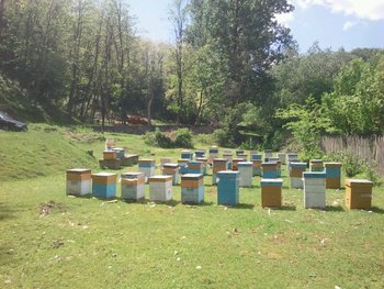 IMG_201305209785.jpg