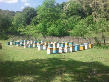 IMG_2013052055393.jpg