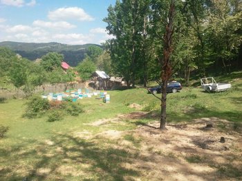 IMG_2013052029672.jpg