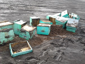 1 a.jpg