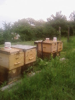 SP_A2220.jpg